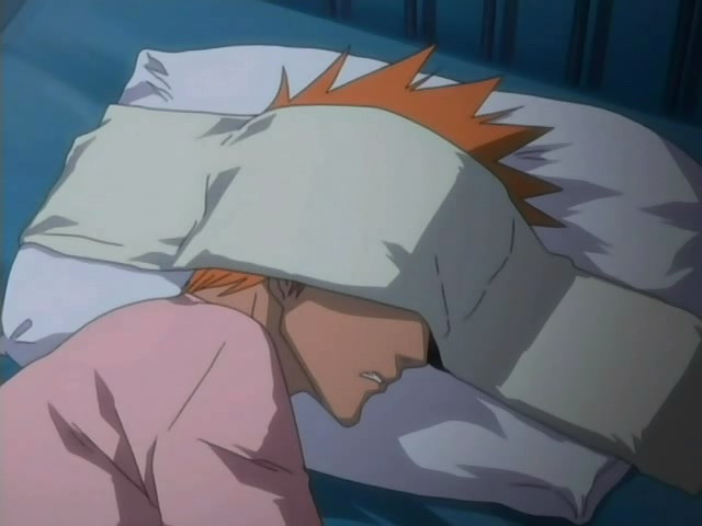 Otaku Gallery  / Anime e Manga / Bleach / Screen Shots / Episodi / 007 - Saluti da un animale di pezza / 158.jpg